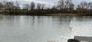 MSG_gr_0008.jpg