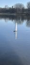 MSG_gr_0012.jpg