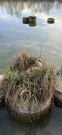 MSG_gr_0024.jpg