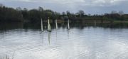 MSG_gr_0031.jpg