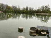 MSG_gr_0050.jpg