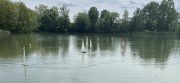 MSG_gr_0066.jpg