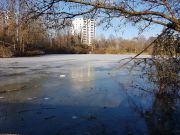 MSG_gr_0007.jpg