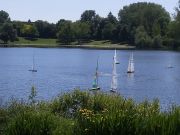MSG_gr_0046.jpg