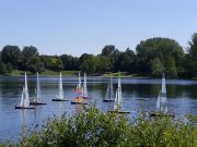 MSG_gr_0050.jpg
